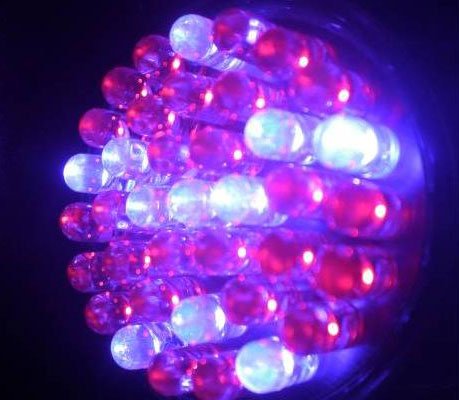 LED Light Therapy for Skin: Blue or Red?